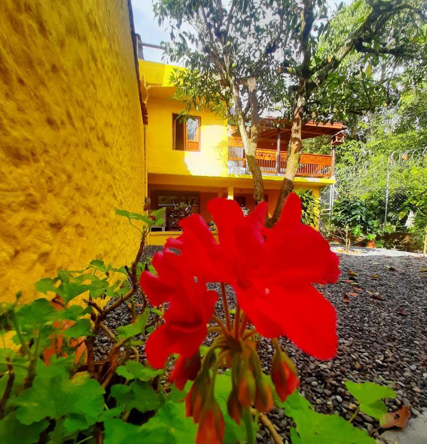 Cafe Racer Hostel Jardín Extérieur photo